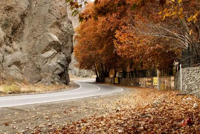 جاده چالوس با رنگ آمیزی درختان پاییزی