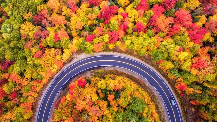 هارمونی رنگارنگ درختان پاییزی در جاده رسیدن به پل معلق نمک آبرود
