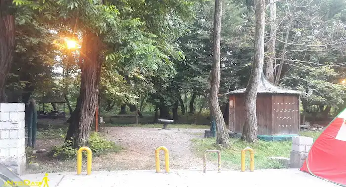 محل برپایی چادر در پارک جنگلی کلارآباد