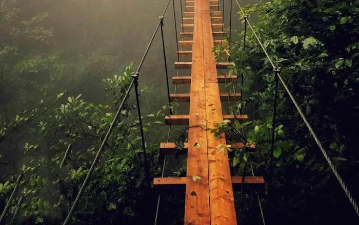 پل چوبی معلق در جنگل های پرتراکم نمک آبرود