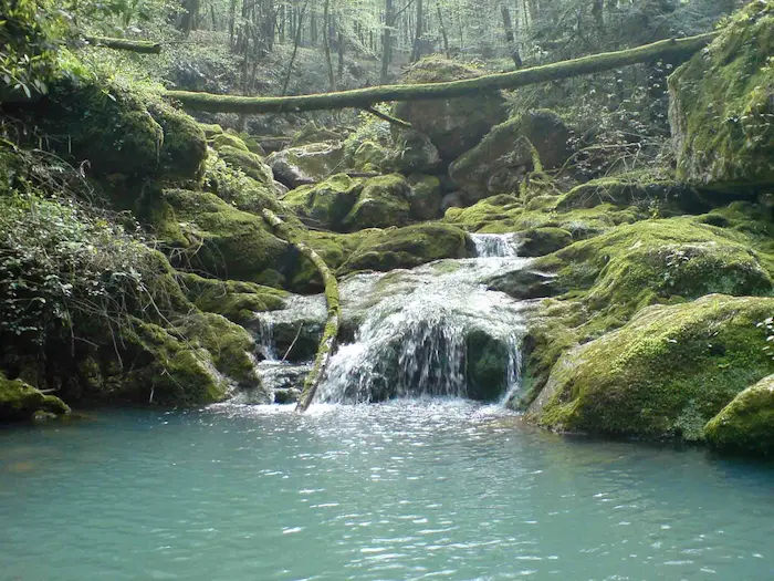 سرازیری آب از لا به لای سنگ های پوشیده از خزه به دریاچه روستای یال بندان سرا