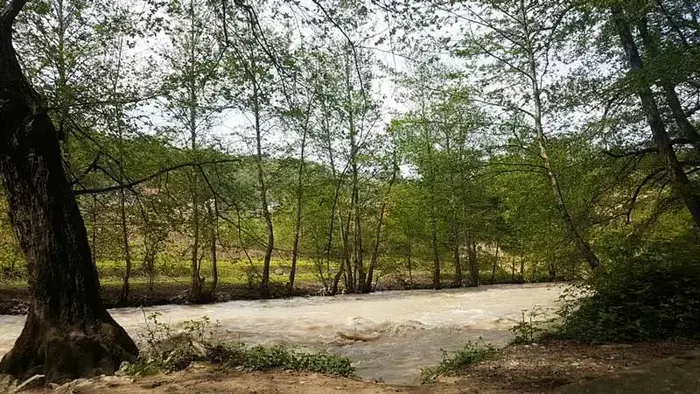[جریان آب در رودخانه پارک جنگلی فین 5131351521