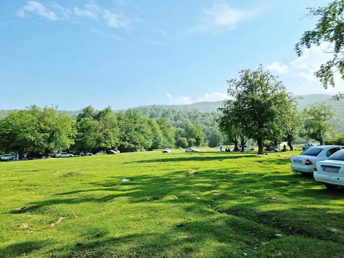 درختان سرسبز روستای مکارود در دل کلاردشت به عباس آباد 5847675